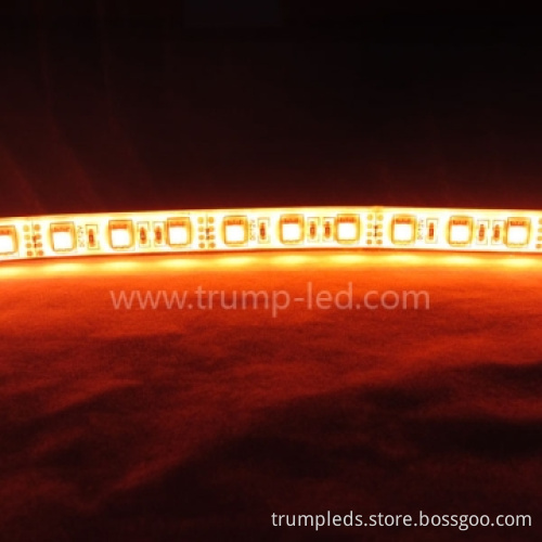 5050 RGB LED Flexible Strip Waterproof For Swimming Pool